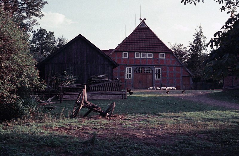 Hofseite