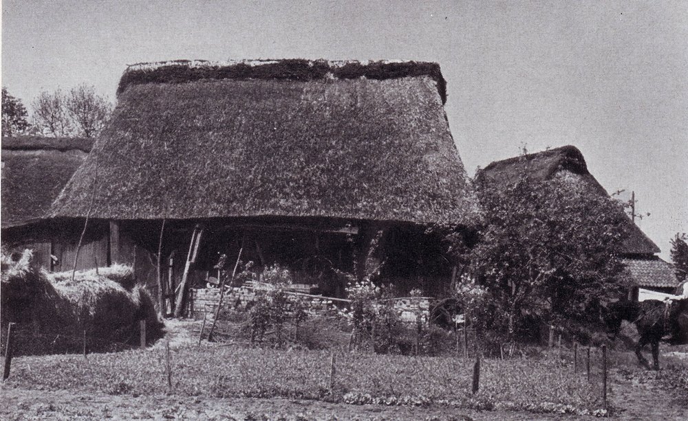 Der Hof Niederbüren 8, Feldseite