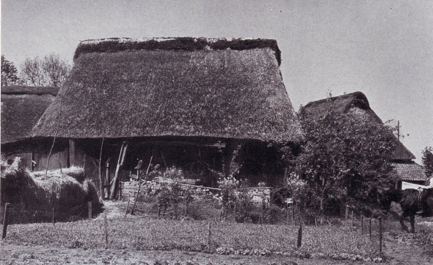 Der Hof Niederbüren 8, Feldseite