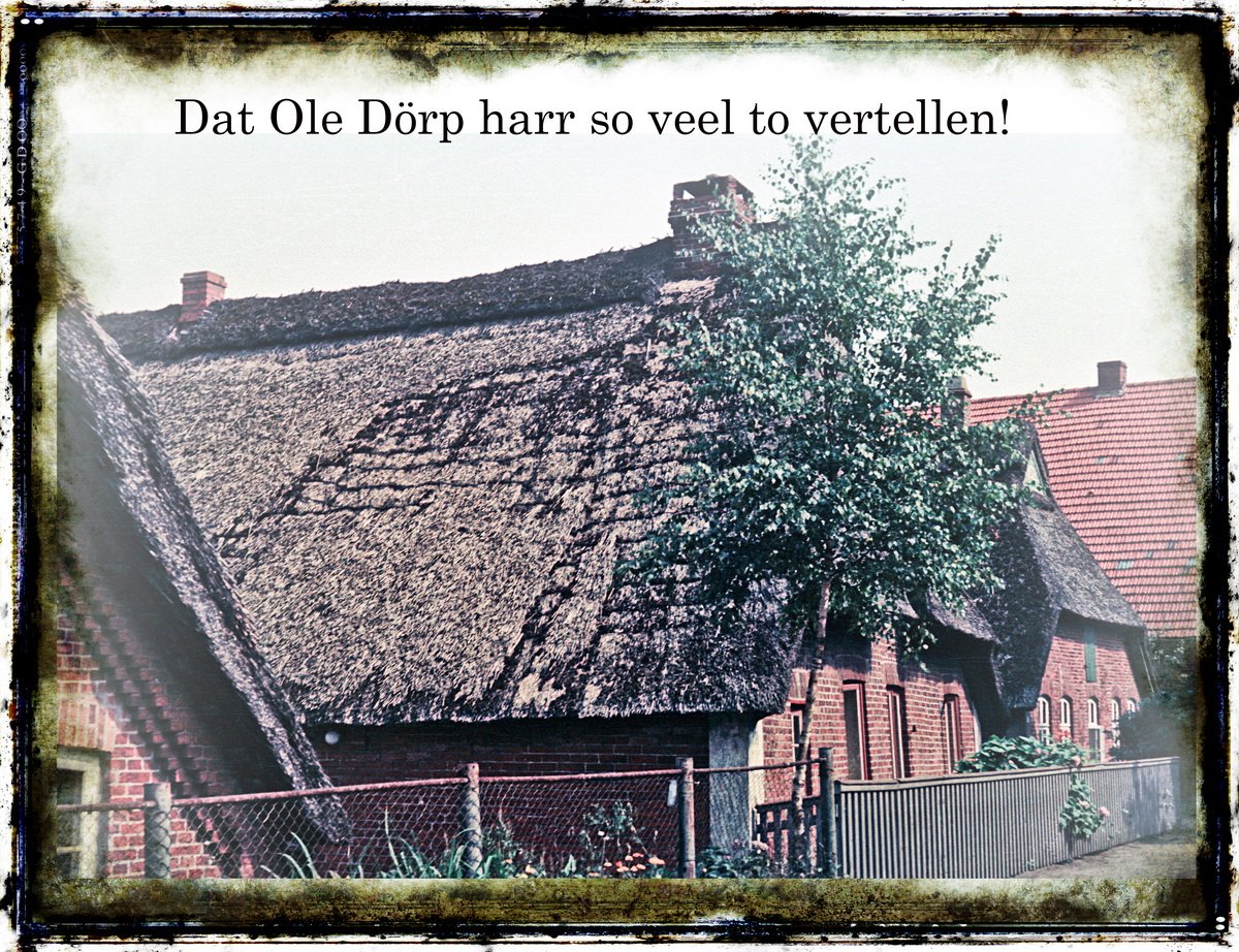 © Foto: Bernhard Meier