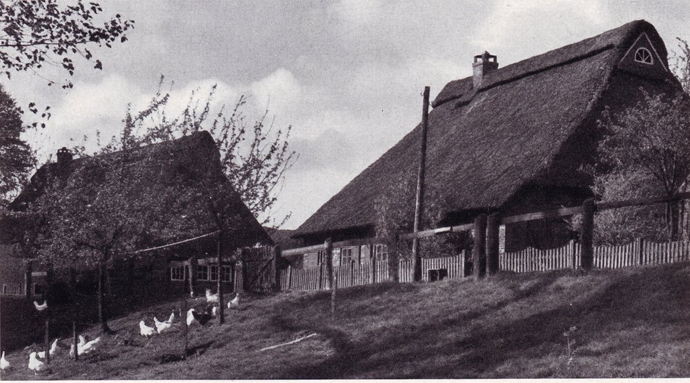 Die Häuser Niederbüren 4 (Hof Lübbers) und 5 (Hof Huchting) von der Deichseite