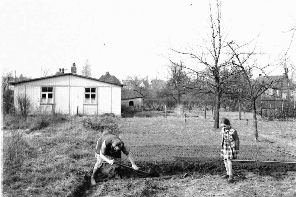 Das Grundstück vor der Bebauung