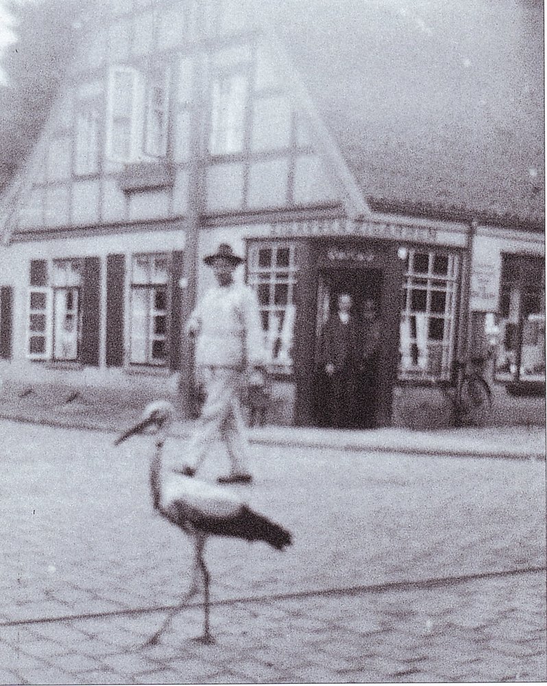 Schnappschuß auf der Burger Heerstrasse. Im Hintergrund das Tabakgeschäft von Carl Bosse, der den Storch vor das Objektiv bekam.