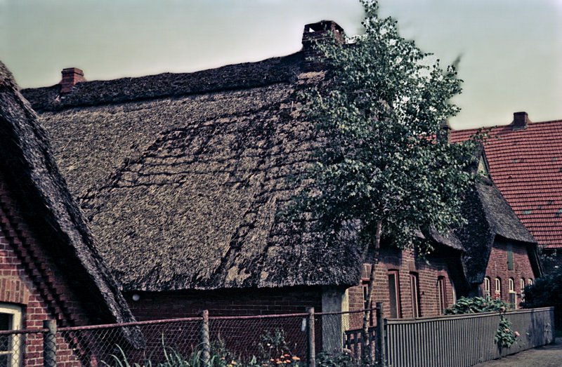 © Foto: Bernhard Meier