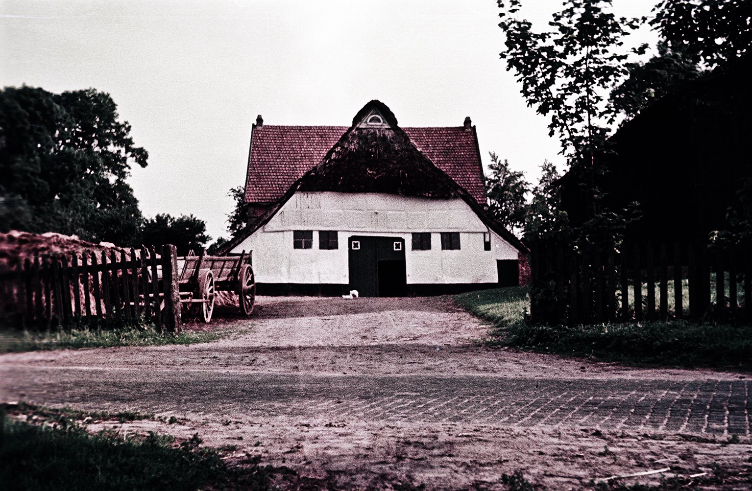 Foto: Bernhard Meier
