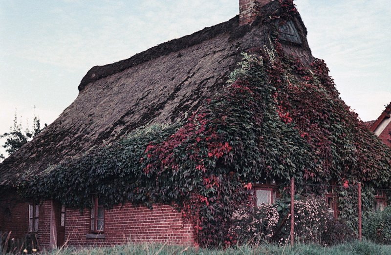 © Foto: Bernhard Meier