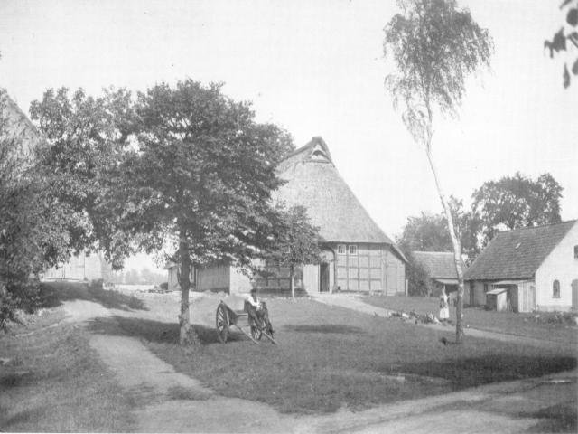 Bolland/Buschmanns Bauernstelle Nr 205 mit Stallungen und Scheune von der Landstraße gesehen. Der Wohnbereich befand sich im Hauptgebäude (Bildmitte) hinter den Stallungen zur Deichseite hin. Zu jener Zeit hatte der Deich im Vergleich zu heute eine weitaus geringere Höhe. Die links stehende Scheune mit gleichen Ausmaßen wie das Haupthaus wurde 1983 abgerissen.
