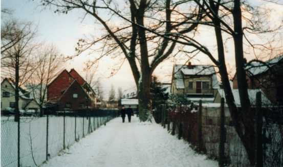 Alle Bildergalerien