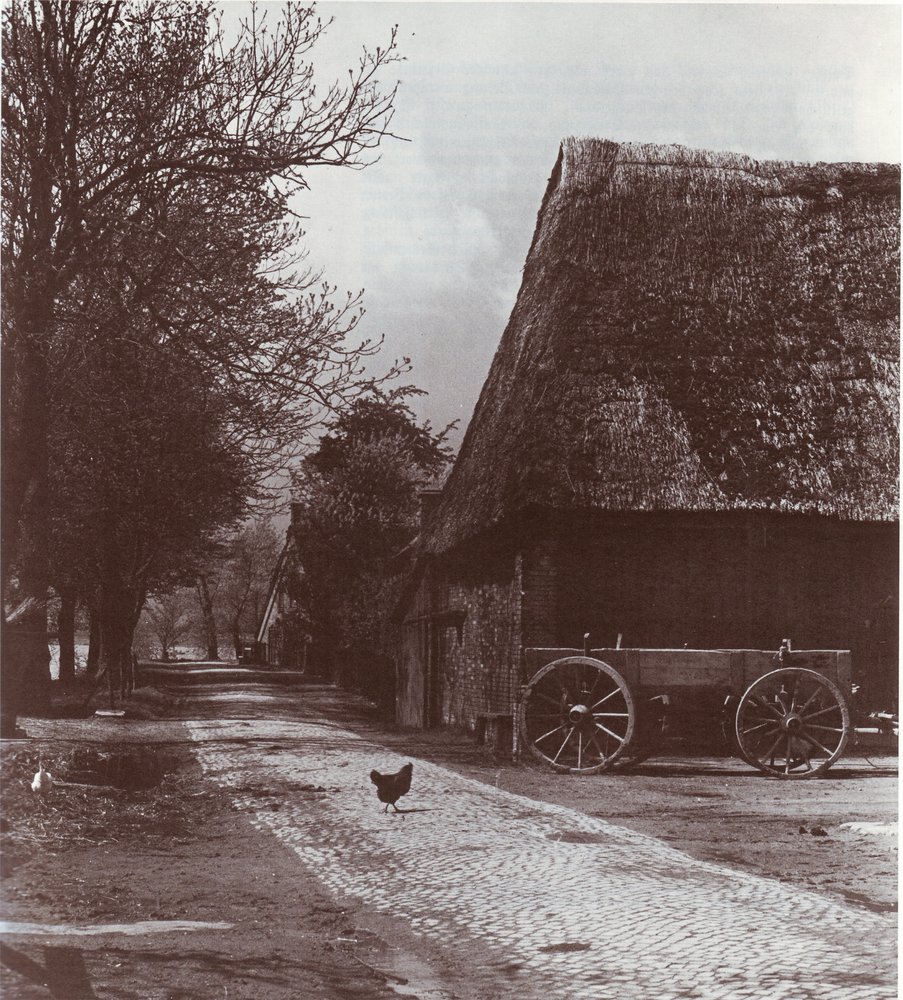 Deichweg in Niederbüren