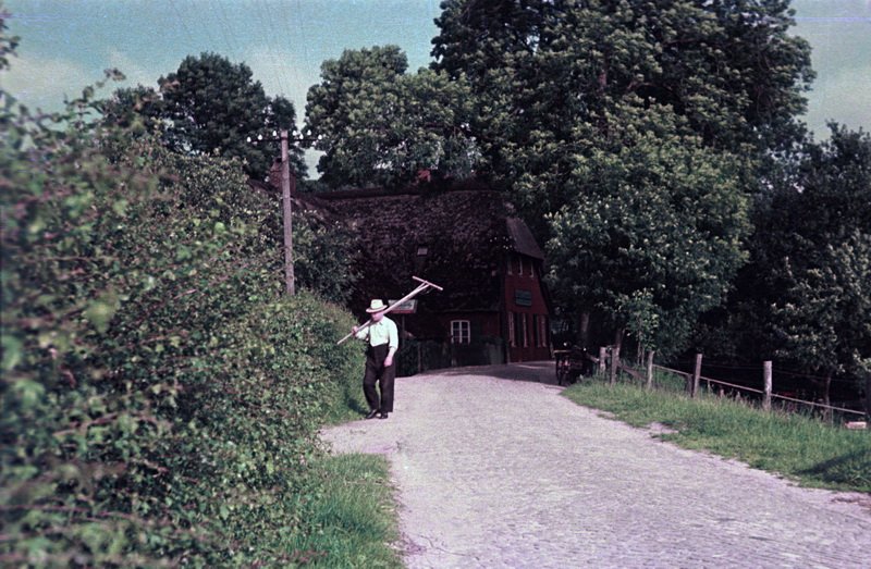 Deichweg vor Bohe mit Blick Richtung Imhoff / Foto: Bernhard Meier