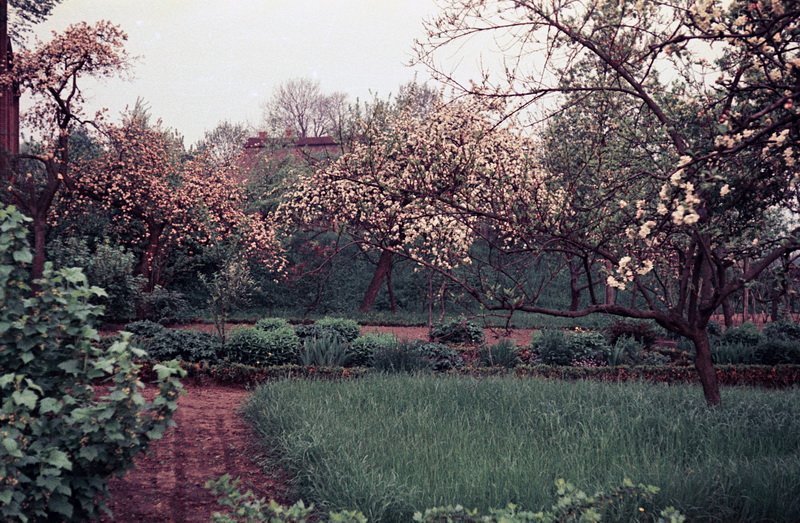 Garten von Lehrer H. Ehrhard hinter der Schule / Foto: Bernhard Meier