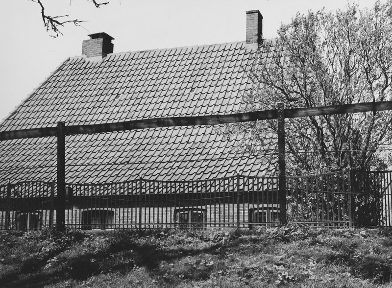 Alle Bildergalerien