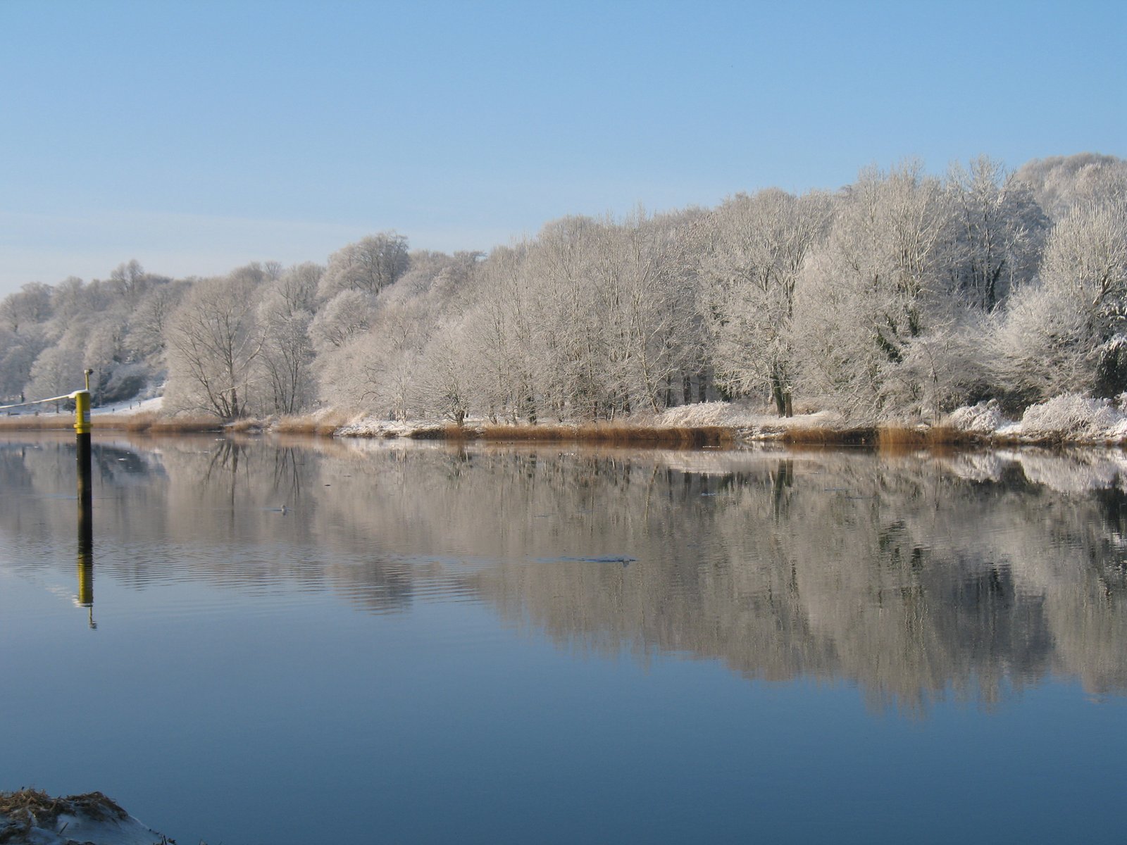 Winter an der Leum