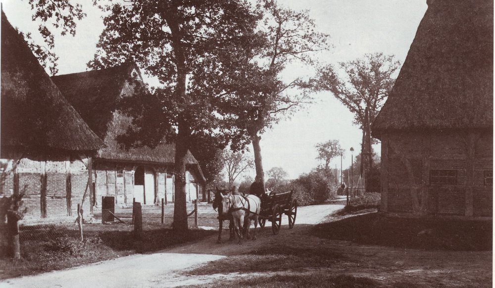 Bild 1939 / In der Bildmitte im Hintergrund die Meyersche Pferdewiese