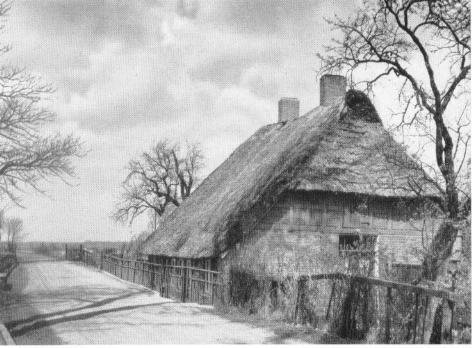 Der Deichweg nach Mitttesbüren mit Haus 5