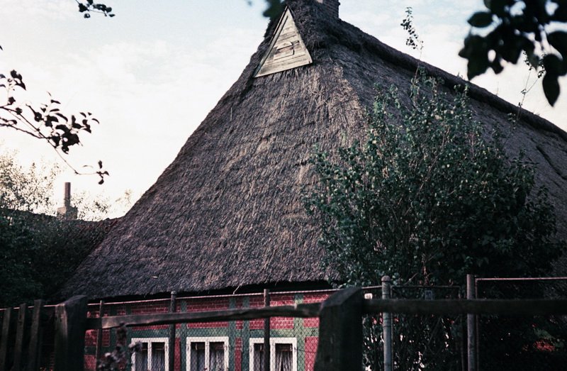 Haus von der Deichseite / © Foto: Bernhard Meier