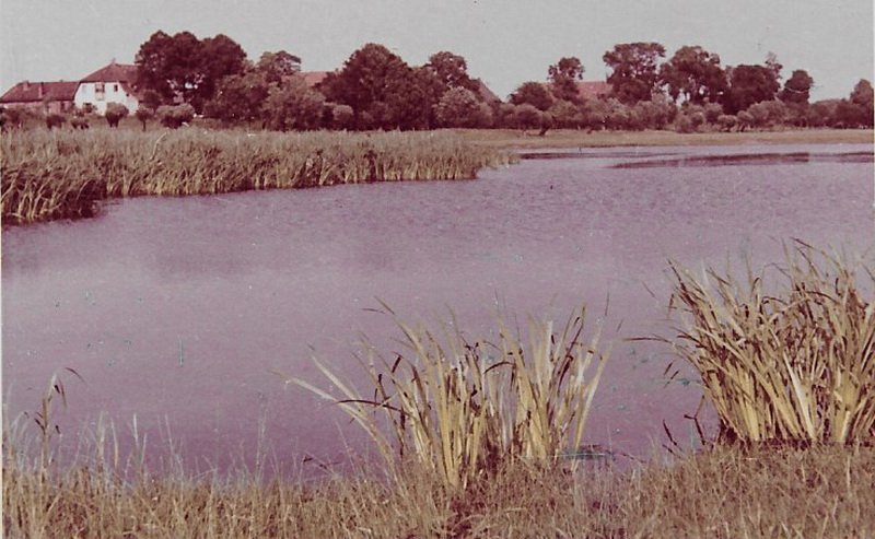 Blick über die Pottkuhle zum Pastorenhaus / © Foto: Bernhard Meier