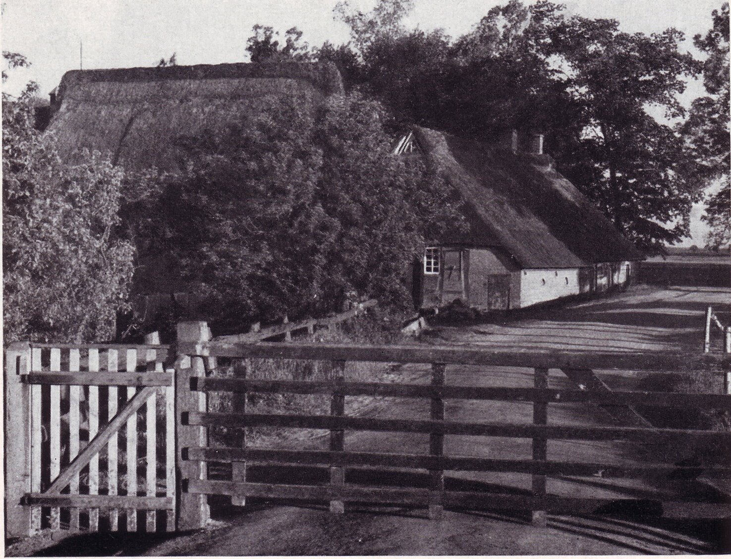 Das Deichgatter am westlichen Dorfeingang von Niederbüren mit dem alten Kötnerhaus Nb. 9