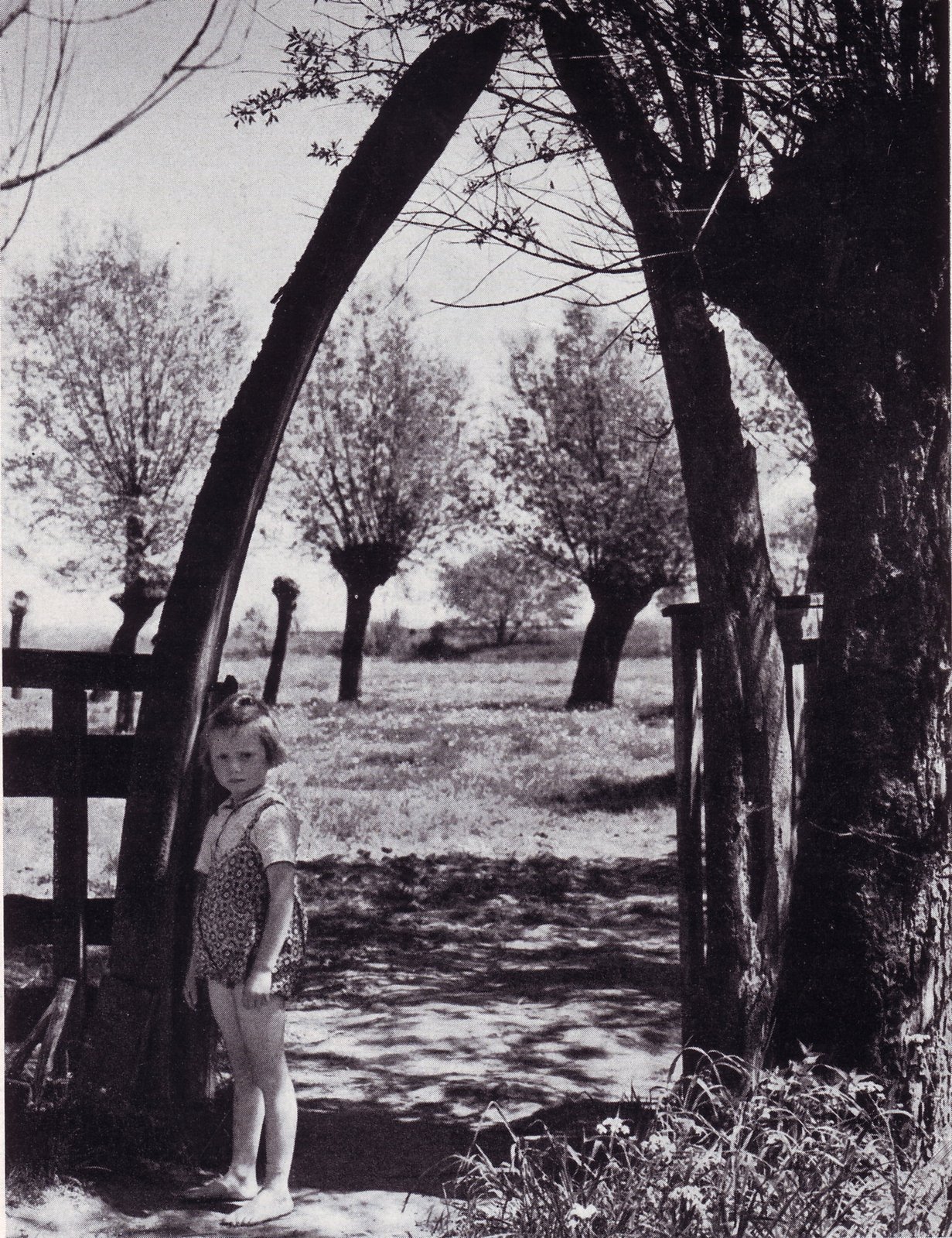 Walfischpforte im Garten von Niederbüren 2, gebildet aus den Unterkiefern des Blauwals vom Grönländer - Kommandeur Johann Hagens (gest 1915) als Jagdtrophäe mitgebracht