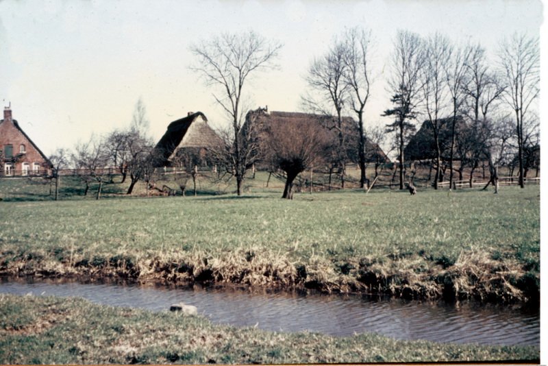 Blick von Hof Wulfgen bis Hof Korte / © Foto: Bernhard Meier