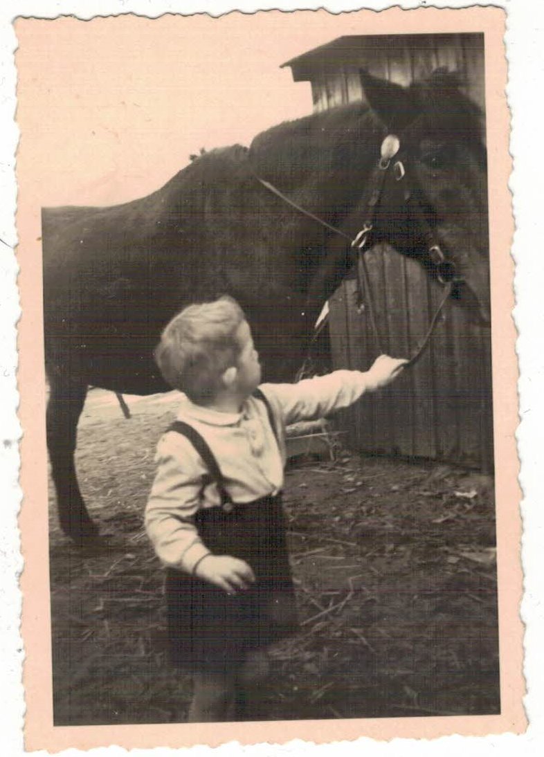 Werner Brüggemann mit dem Pferd "Fanny" das den Gemüsewagen zog / © Foto: Werner Brüggemann