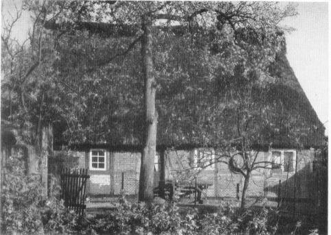Die Hofseite