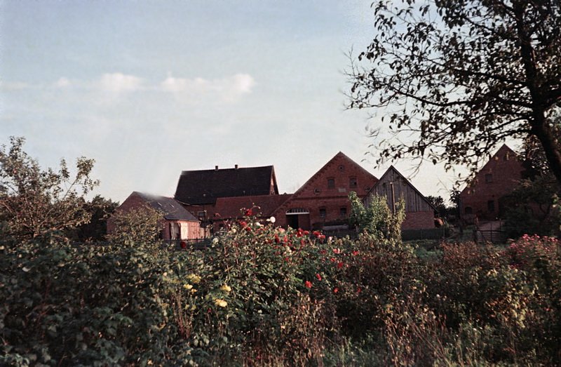 Die Höfe Haake und Schmidt / © Foto: Bernhard Meier