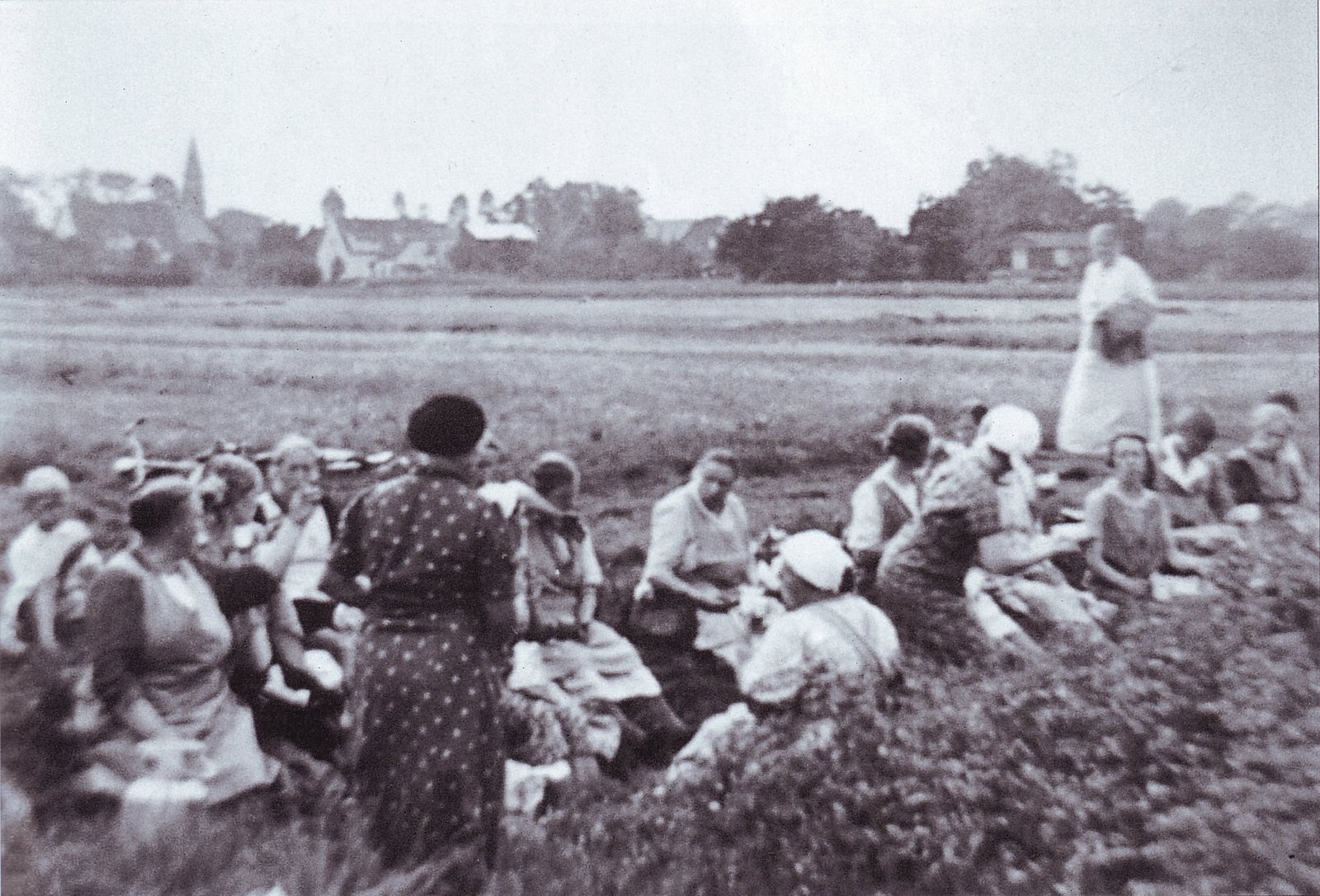 Erbsenpfückerinnen auf den Ländereien des Köhler - Hofes. Im Hintergrund die Grambker Kirche um 1935 .