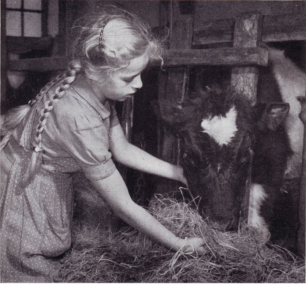 Hanna Hagens