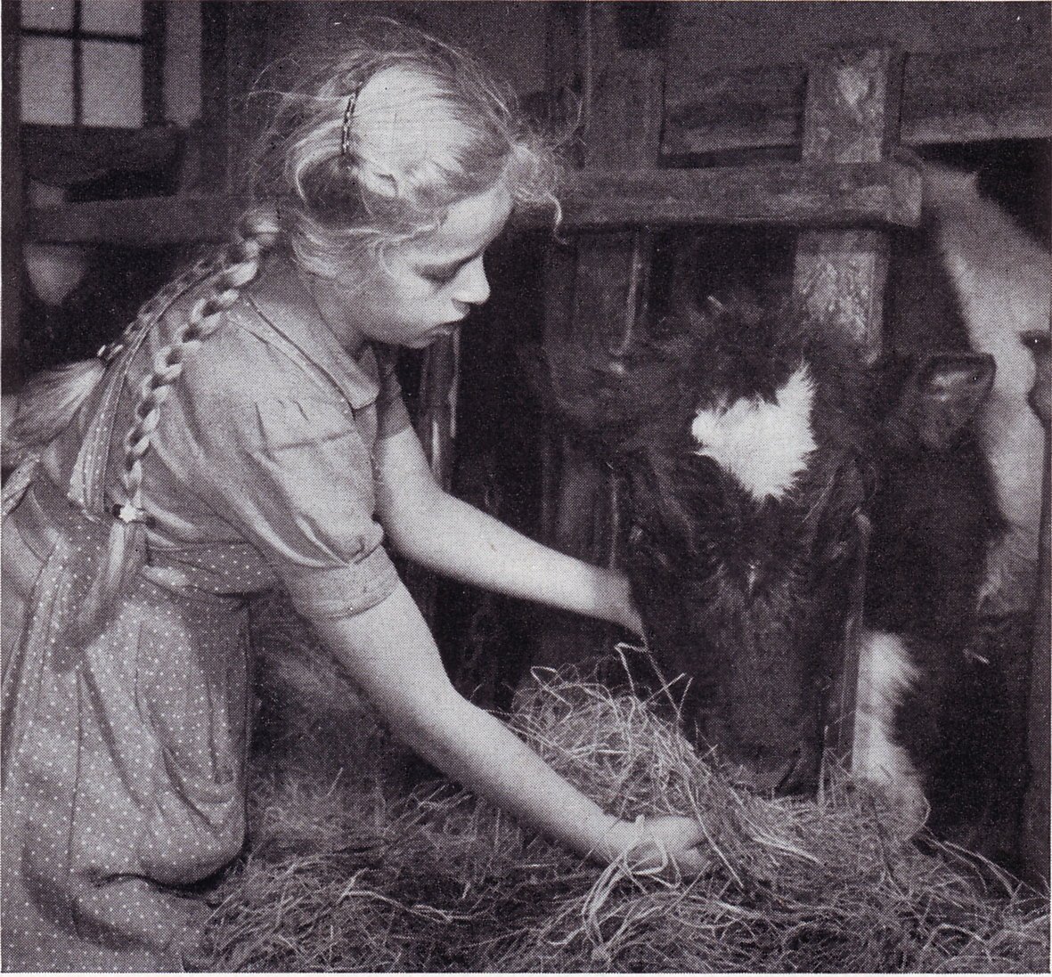 Hanna Hagens